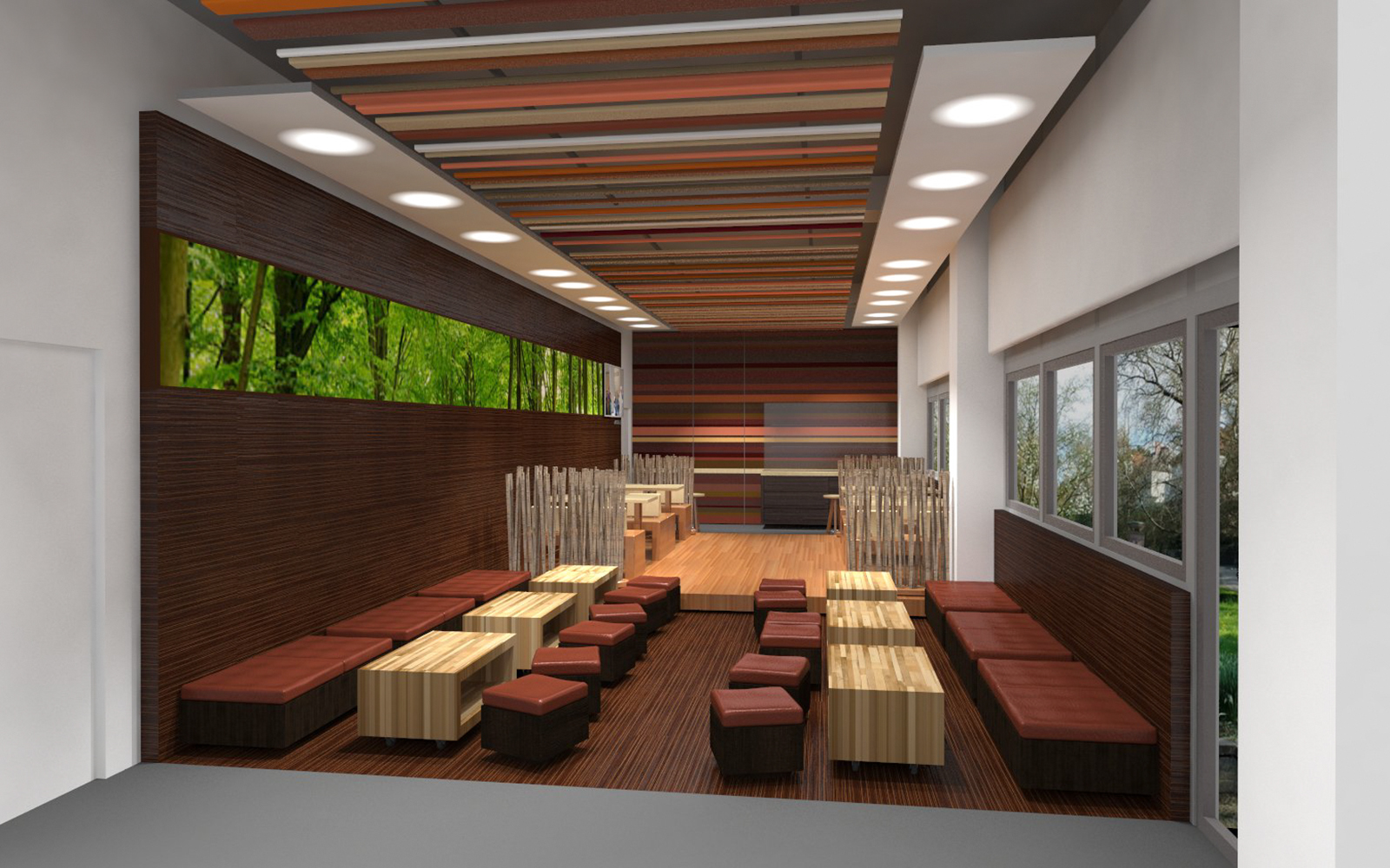 can not display image